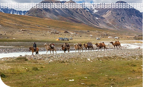 The Mongolian Connection 03