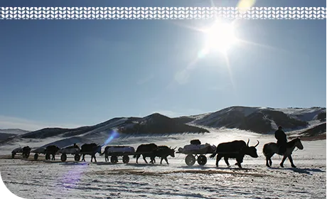 Mountain landscape in Mongolia where yak wool is sourced
