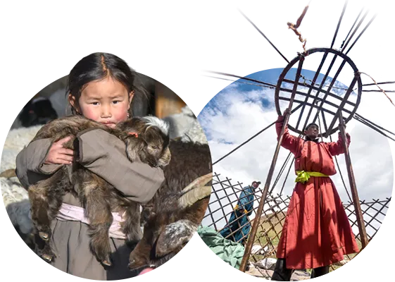 Traditional Mongolian yak herders with their animal