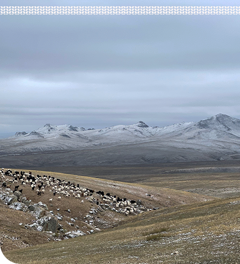 The Last Nomadic Land on Earth